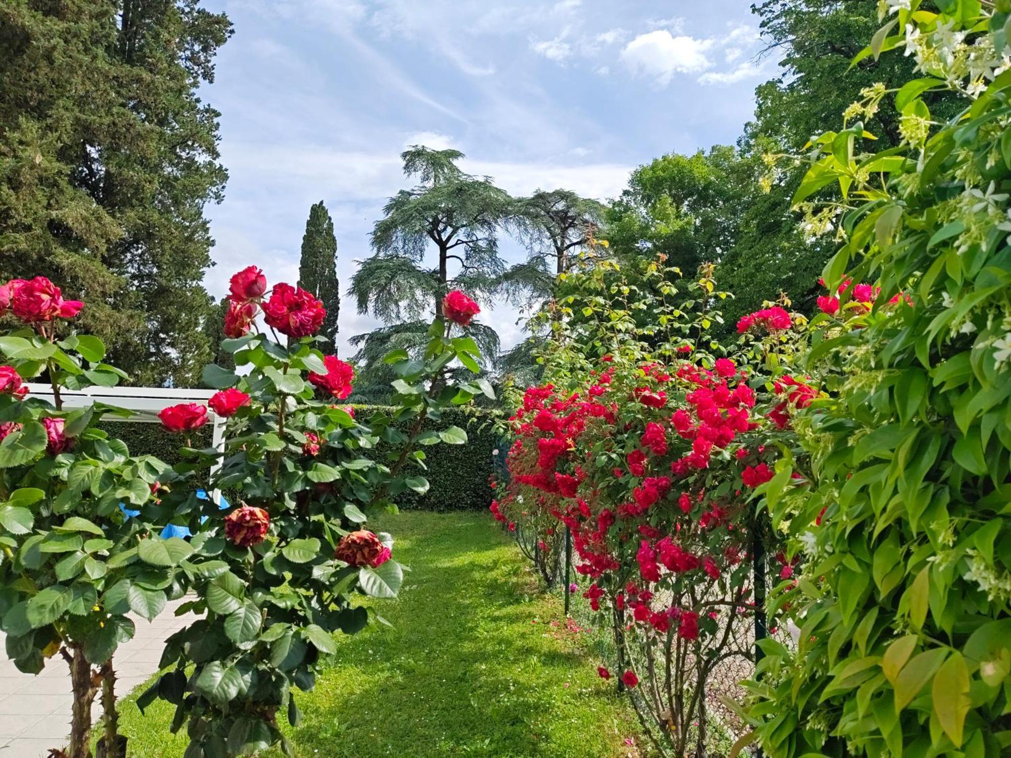 Villa Torricelli Scarperia - Il Giardinetto Residence Eksteriør bilde